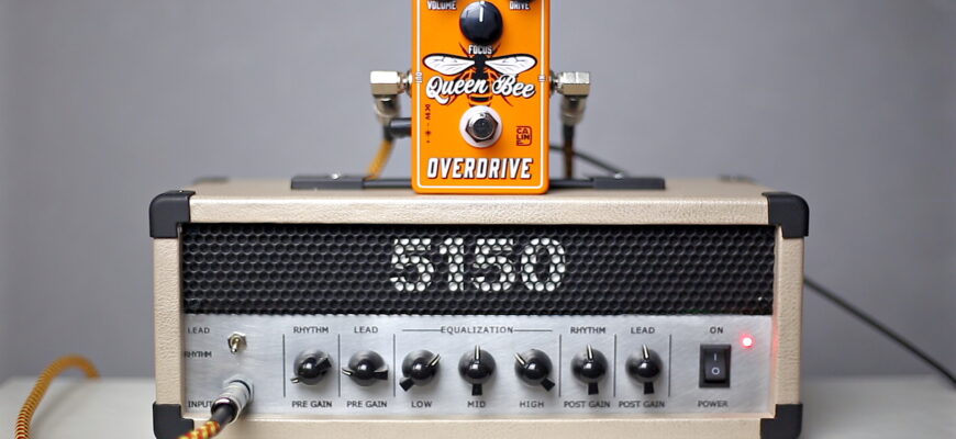 Caline Queen Bee CP-503 — королевская пчела по доступной цене